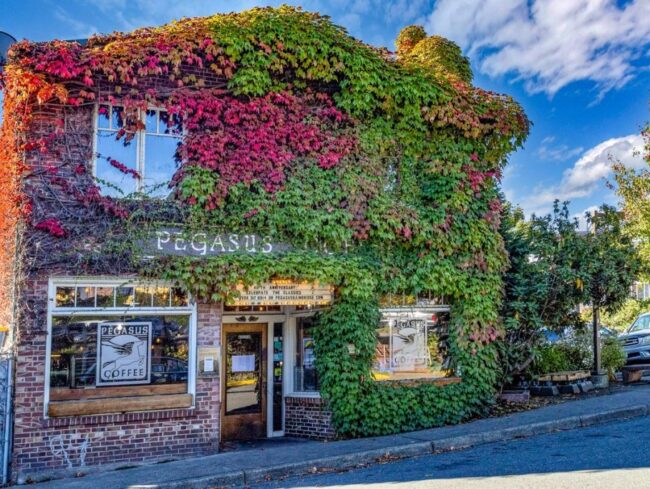 Pegasus Coffee House in the late summer