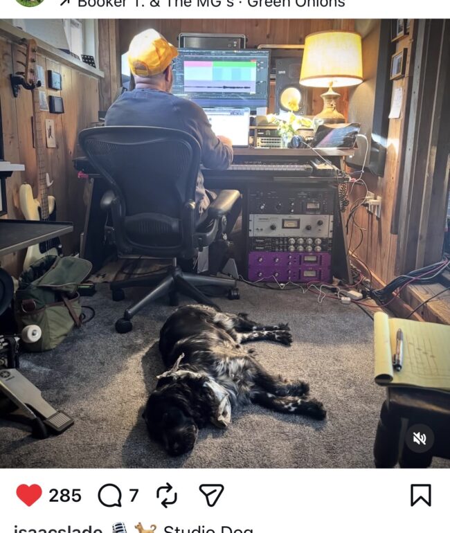 Side Stack studio dog