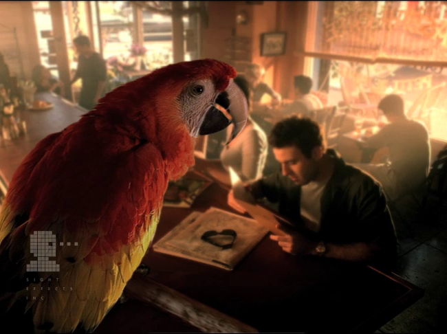 Coca-Cola Parrot - Super Bowl Commercial