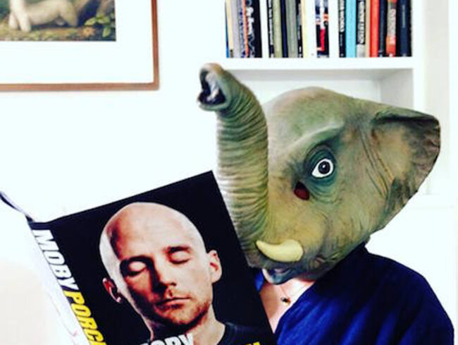 Moby Porcelain Book Elephant mask